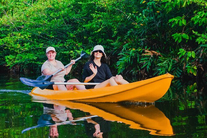 Kayaking Adventure on serene waters through mangroves, Akurala - The Value of This Tour