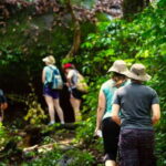 Kbal Spean Trekking Tour with Banteay Srei & Landmine Museum - Exploring the Itinerary: A Deep Dive