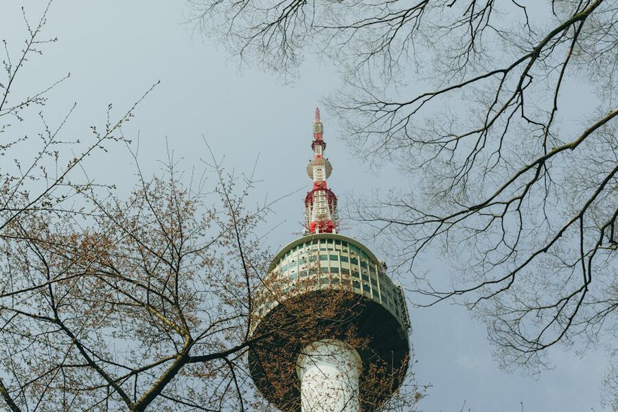 Namsan Tower framed by cherry blossoms in spring Seoul