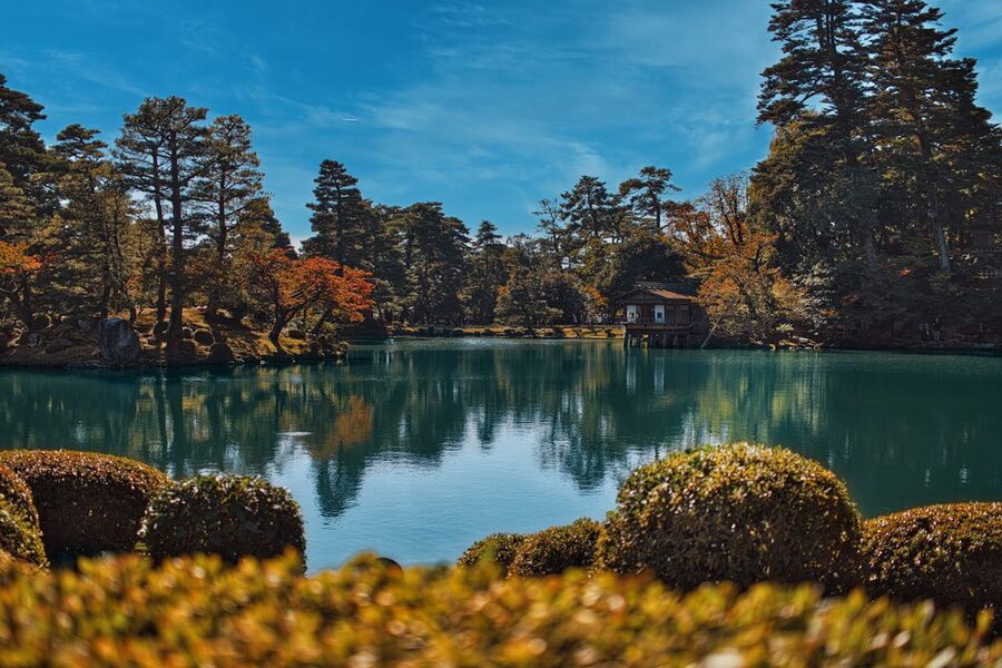Kenrokuen Garden cherry blossoms spring