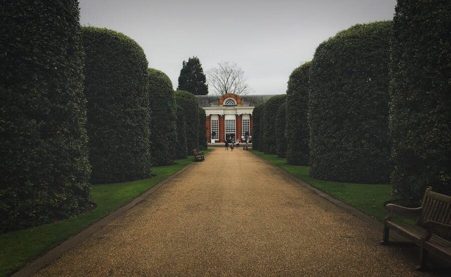 Kensington Palace gardens walkway with hedges