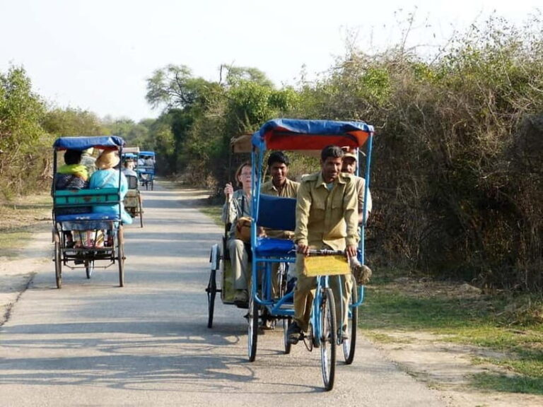 Keoladeo National Park Tickets and Guided Tour - How to Make the Most of Your Visit