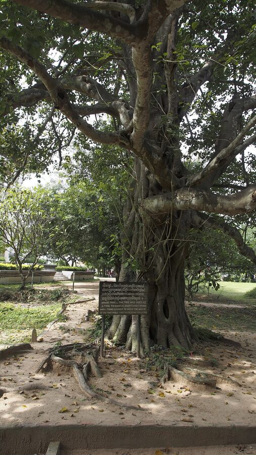 Choeung Ek Killing Fields grounds memorial paths