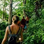 Khao Sok: Private Jungle Trek, Waterfall Swim & Bamboo Lunch - A Refreshing Escape: The Hidden Waterfall