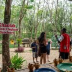Khaolak: Elephant Sanctuary Guided Tour with Hotel Transfers - What to Expect from the Khao Lak Elephant Sanctuary Tour