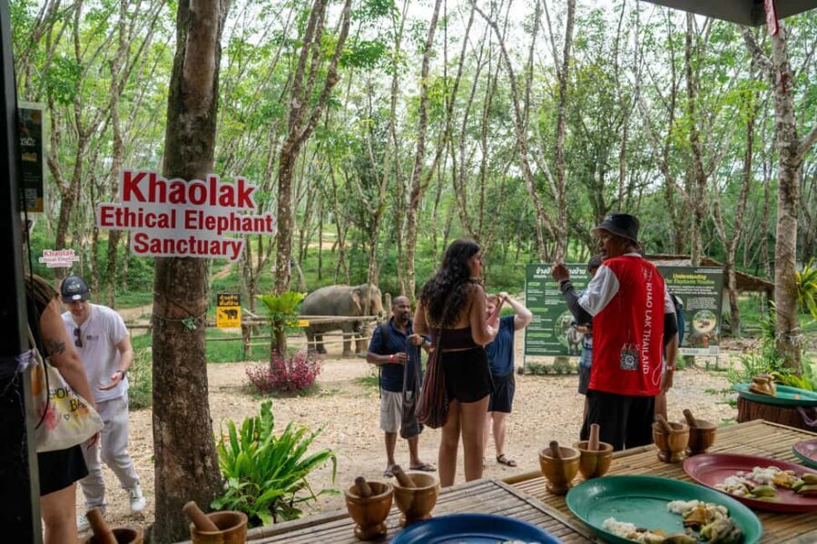 Khaolak: Elephant Sanctuary Guided Tour with Hotel Transfers - What to Expect from the Khao Lak Elephant Sanctuary Tour