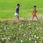 Killing Fields, War Museum and Floating Village ( Mechrey ) - Visiting the War Museum Cambodia