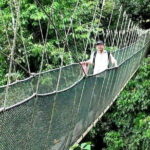 Kinabalu National Park Tour - Areas for Improvement