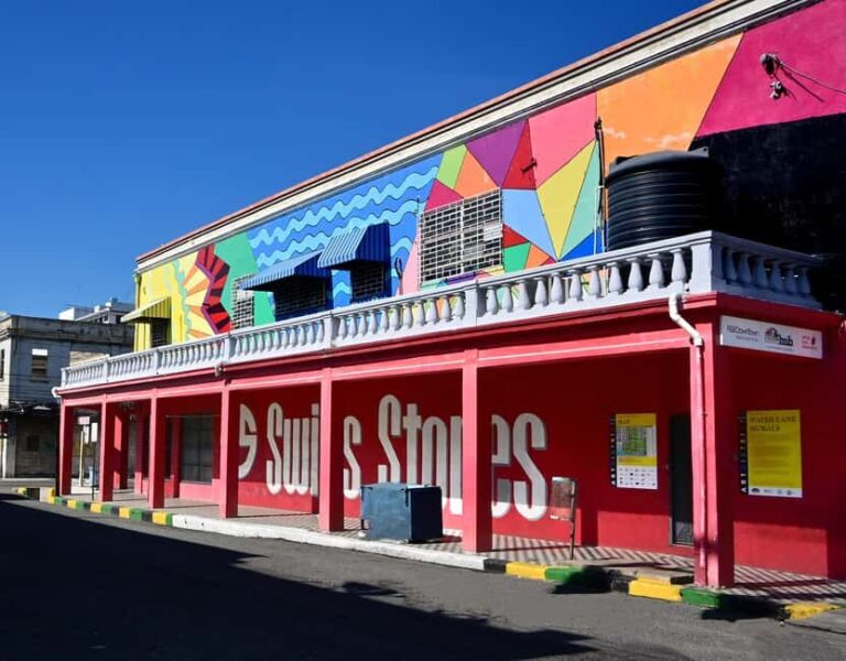 Kingston Creative: Mural Art Walking Tour - Practical Details & Tour Experience