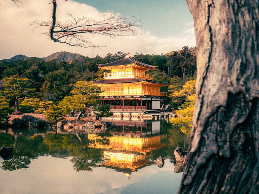 Kinkaku-ji Golden Pavilion reflecting in Kyotos pond