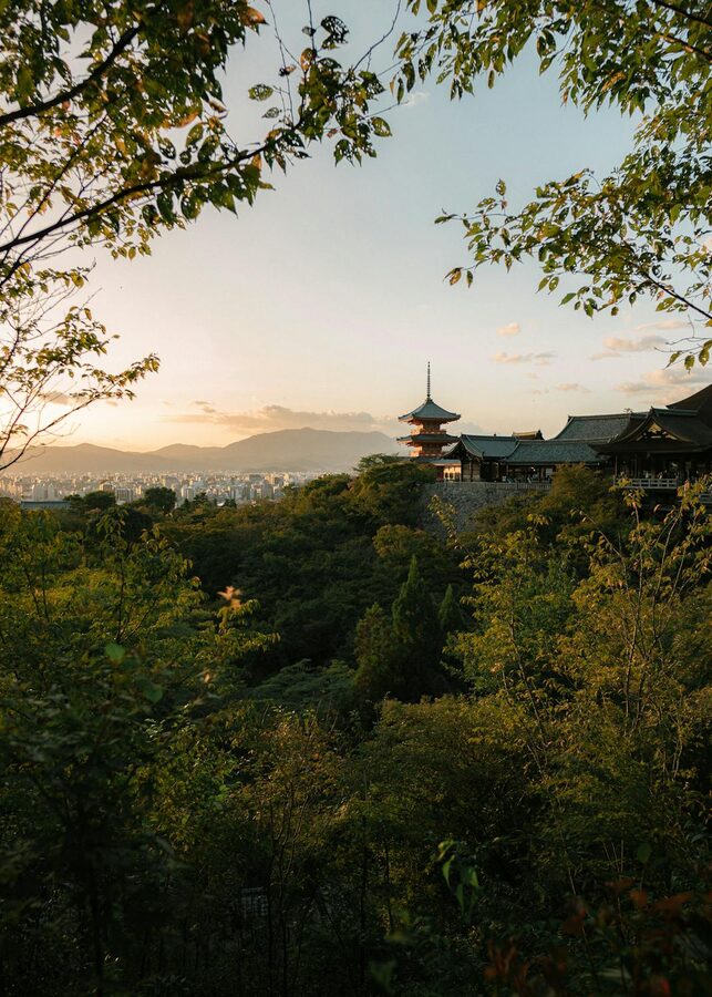 Scenic view of Kiyomizu-dera Temple surrounded by green trees at golden hour
