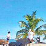 Ko Samui: Pig Island Snorkeling and Koh Tan Speedboat Tour - Why this tour offers good value