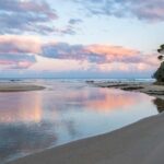 Koalas, Kangaroos and Lyrebirds - Why This Tour Stands Out