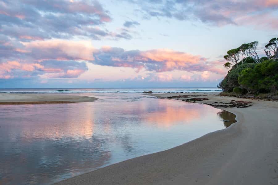 Koalas, Kangaroos and Lyrebirds - Why This Tour Stands Out