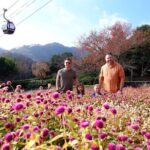 Kobe Explore Top Highlights by Private Walking Tour - What You Can Expect at Key Stops