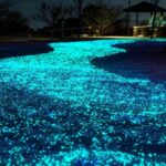 Kobe: Private Night Views Tour with Local Guide - Why You’ll Love This Night Views Tour in Kobe