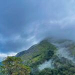 Kochi: Private Kerala Scenic Beauty Day Tour with Lunch - Final Thoughts: Is This Tour Right for You?