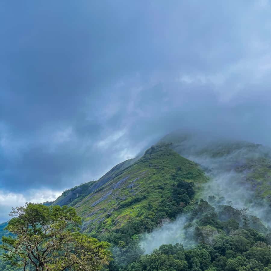 Kochi: Private Kerala Scenic Beauty Day Tour with Lunch - Final Thoughts: Is This Tour Right for You?