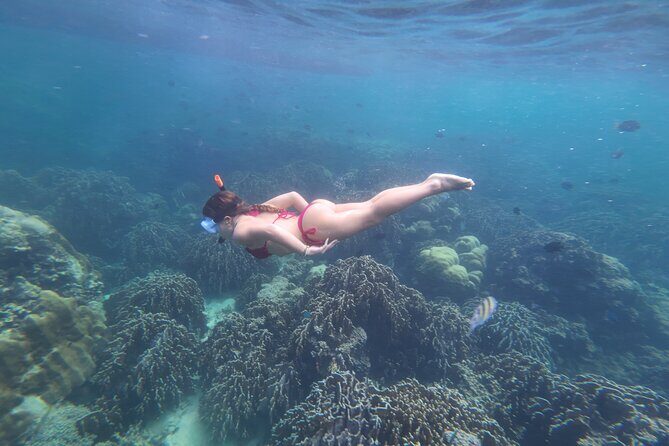 Koh Lipe Morning Snorkeling Trip 4 Islands, 5 Spots - Practical Tips and Considerations