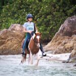 Koh Samui Horse Riding & Beach Trails - Who Is This Tour Best For?