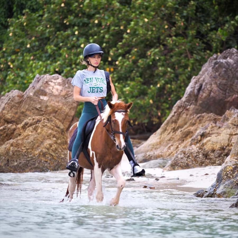 Koh Samui Horse Riding & Beach Trails - Who Is This Tour Best For?