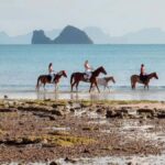 Koh Samui Horse Riding & Beach Trails - An In-Depth Look at Koh Samui Horse Riding & Beach Trails