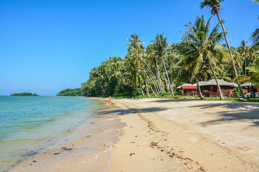 Palm-lined tropical beach with white sand in Thailand