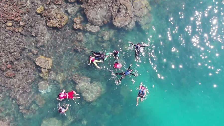 Koh Samui: Sunset Pig Island and Snorkeling Koh Tan w/Dinner - Who Is This Tour Best For?