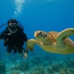 Koh Tao: Beginner Scuba Diving Experience with Gear - Why This Tour Stands Out