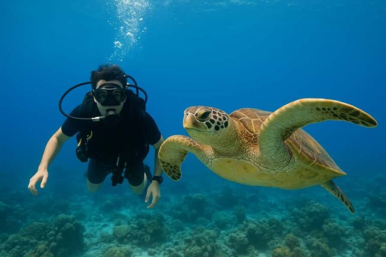 Koh Tao: Beginner Scuba Diving Experience with Gear - Why This Tour Stands Out