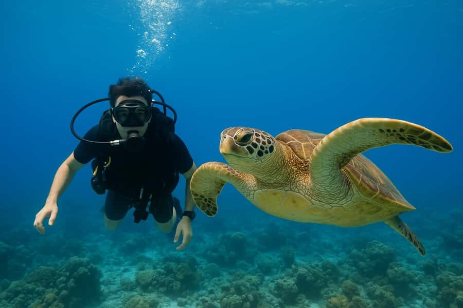 Koh Tao: Beginner Scuba Diving Experience with Gear - Why This Tour Stands Out