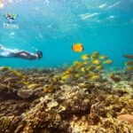 Koh Tao: Full-Day Snorkeling Tour with Lunch & Hotel Pick-up - Final Thoughts