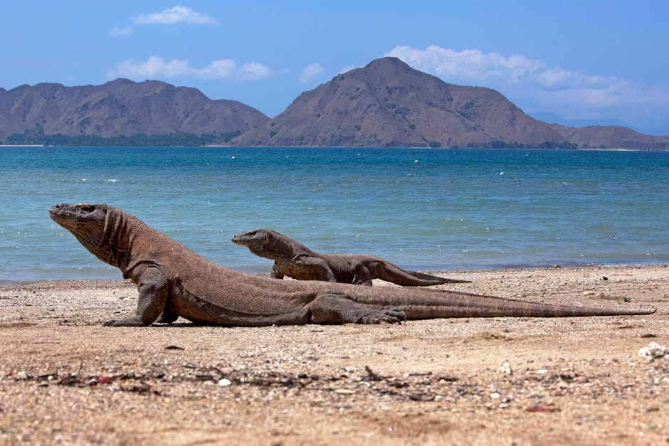 Landscape of Komodo National Park islands from a boat