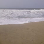 Konark and Chilika Lake: A Private Day Tour from Bhubaneshwar - The Day in Detail: What You Can Expect