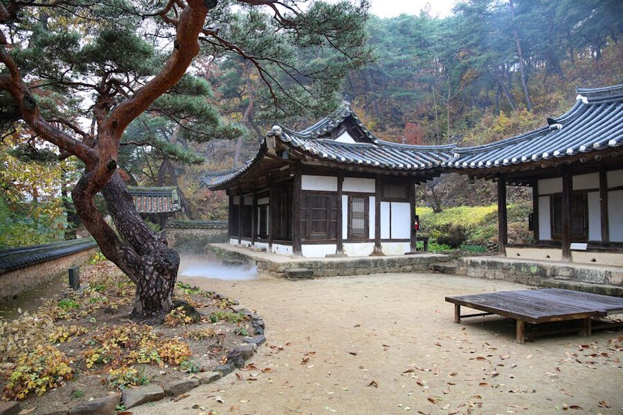 Traditional Korean hanok surrounded by autumn pines at the folk village