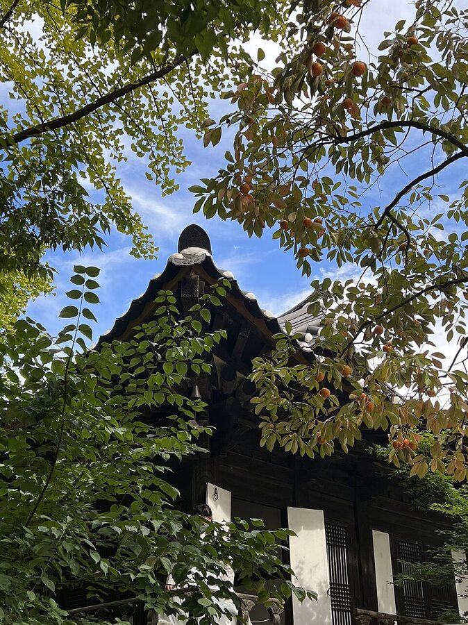 Korean Folk Village traditional architecture in Yongin South Korea