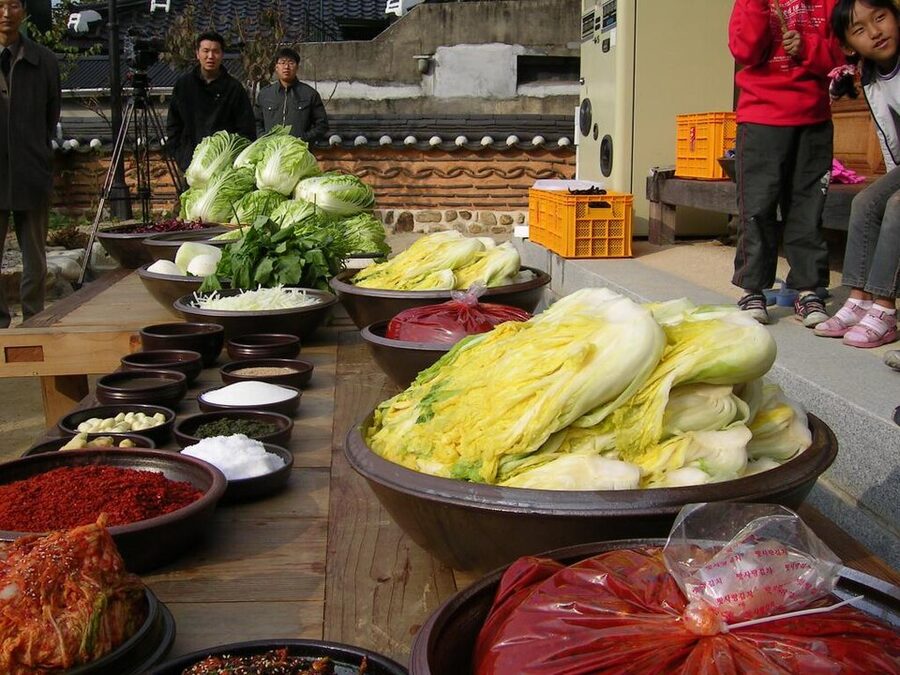 Preparation for gimjang kimchi making with rows of cabbage and red paste
