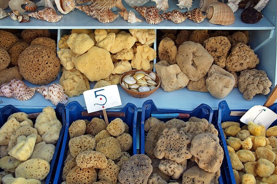 Kalymnos natural sea sponges market display traditional craft