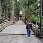Koyasan: Half-Day Guided Tour - Okuno-in, Kongobuji & Danjo Garan - Practical Insights & What to Expect