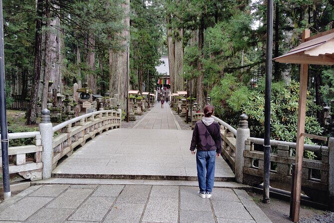 Koyasan: Half-Day Guided Tour - Okuno-in, Kongobuji & Danjo Garan - Practical Insights & What to Expect