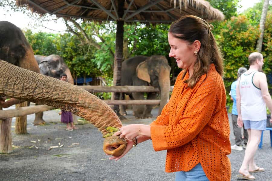 Krabi: Ao Nang Elephant Sanctuary Tour - An Honest Look at the Ao Nang Elephant Sanctuary Tour