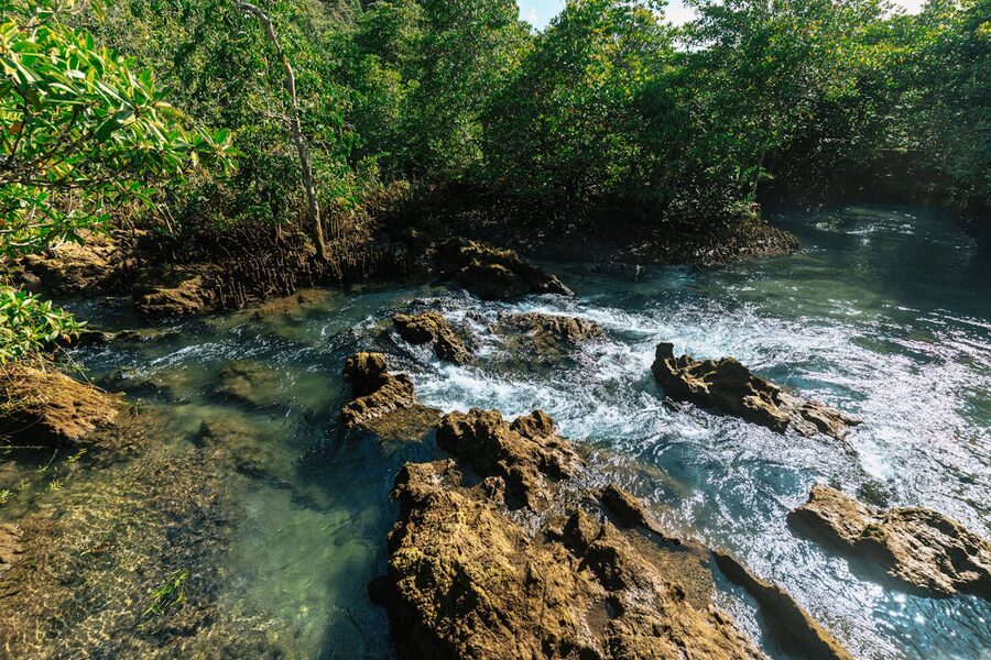 Scenic waterway with crystal clear water flowing through jungle in Krabi Thailand