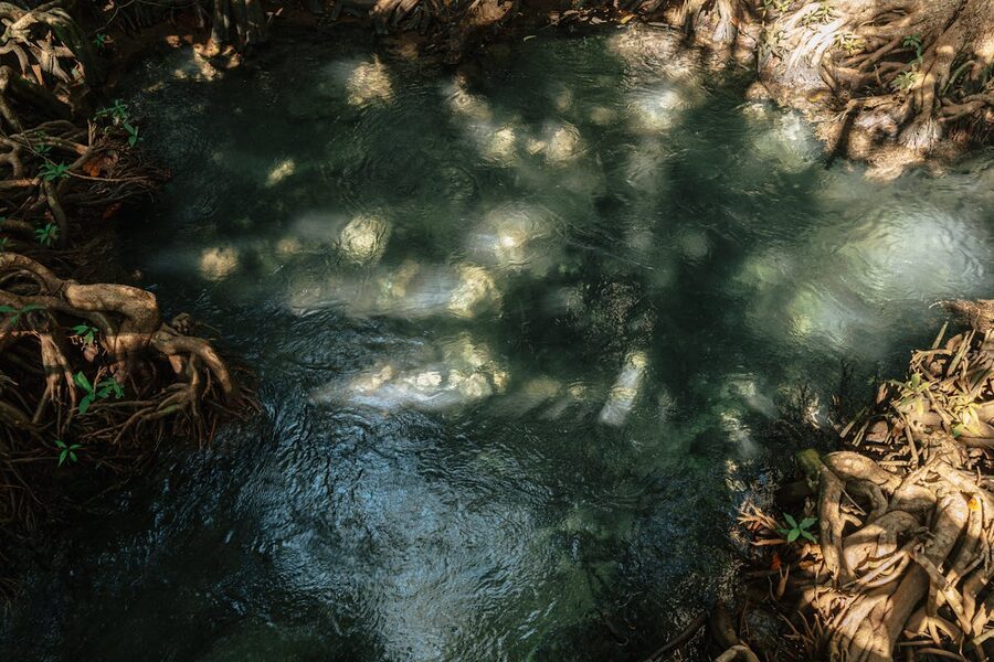 Warm spring water flowing through mangrove forest in Krabi Thailand