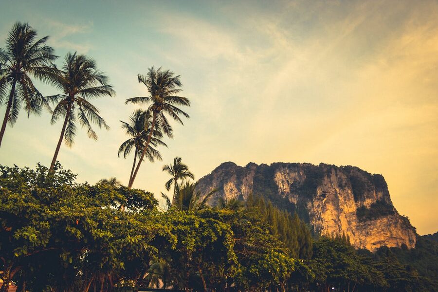 Towering limestone cliffs and palm trees at sunset in Krabi Thailand