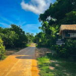 Kratie: Koh Trong Island Cycle Tour with Snacks - In-Depth Look at the Itinerary