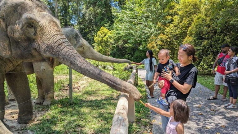 Kuala Lumpur: Batu Caves & Kuala Gandah Elephant Sanctuary - What to Expect During the Tour