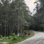 Kubah's Nocturnal Wonders Nighttime Frog Safari - The Value of the Tour: What You Get for $75.69