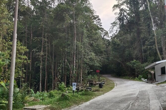 Kubah's Nocturnal Wonders Nighttime Frog Safari - The Value of the Tour: What You Get for $75.69