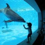 Kujukushima: Aquarium Umikirara Admission Ticket - The Practicalities: What You Need to Know
