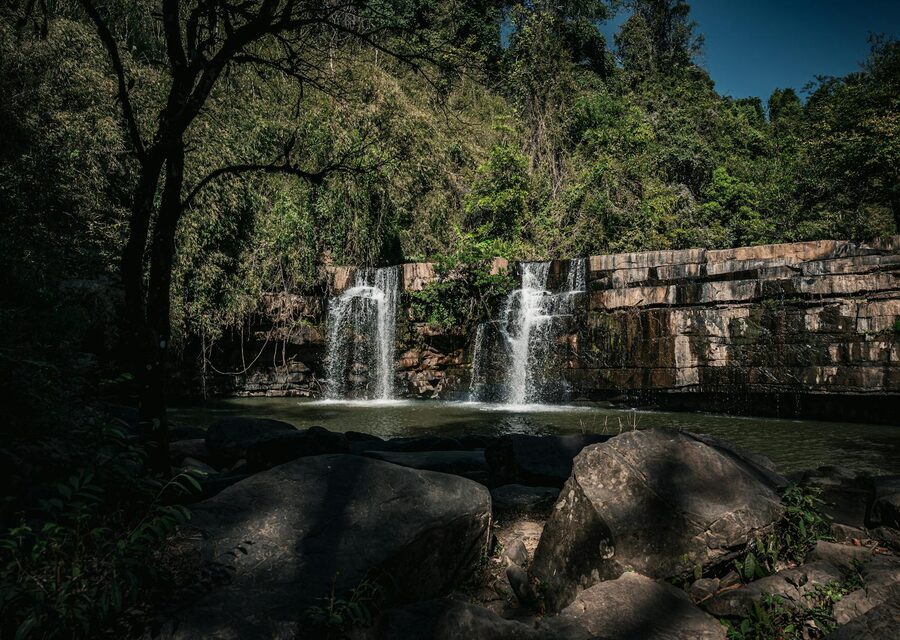 Cambodia jungle near Siem Reap